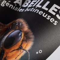 Brochure personnalisée de haute qualité imprimée en offset avec reliure agrafée, papier couché, carton ondulé, papier journal
