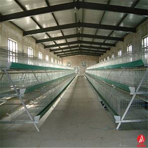 Estrutura de aço projeto casa de galinha aves fazenda - Product Image 2