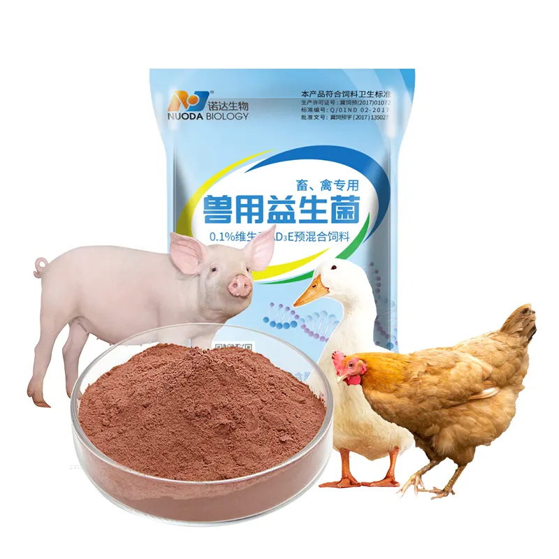 Additifs pour l'alimentation des animaux de poulet, prémélange de vitamines pour volaille, probiotiques en poudre de bacille, sous-tils, probiotiques pour volaille hydrosolubles