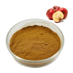 Factory Direct Sale Organic Hawthorn Berry Fruit Leaf Extract Powder Hawthorn Berry Extract Flavonoid 20% 50% 80% Bulk Powder