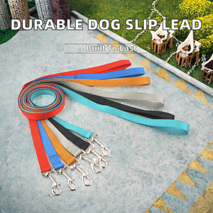Laisse de luxe personnalisée Rarewe en nylon à rivets pour chat et chien, laisse classique robuste et durable pour petits, moyens et très petits chiens - Product Image 2