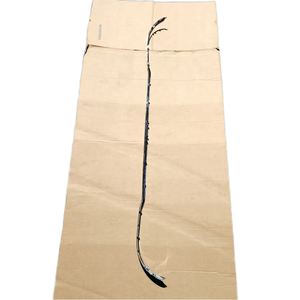 แผ่น W213ไฟฟ้าสำหรับรถรุ่น E200รหัส2138850321 Mercedes-Benz ด้านหลังชิ้นส่วนตัวถังรถ - Product Image 4