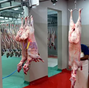 Thiết Bị Chế Biến Thịt Cừu Giết Mổ Cừu Hoàn Chỉnh Với Máy Bào Ngư Lò Mổ