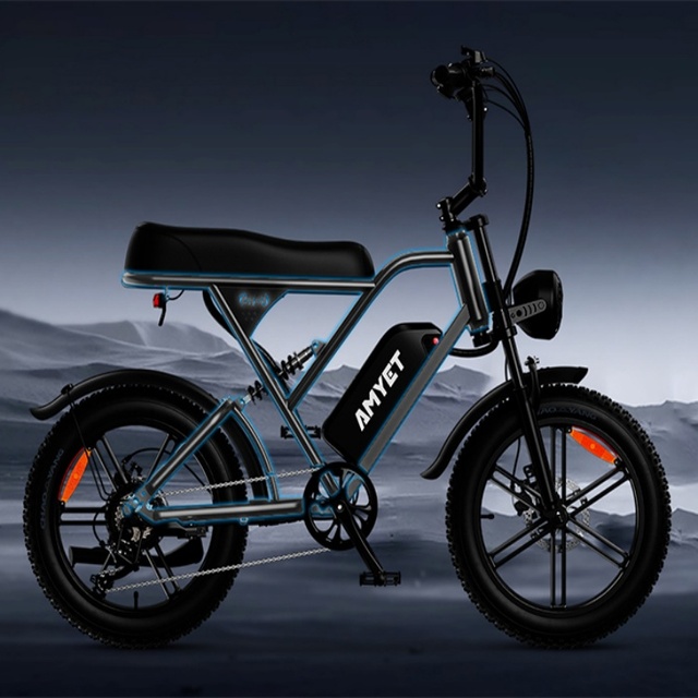 High Speed off Road Ebike with Alloy Steel Frame 5-speed 48v Lithium-ion Battery Adult Electric Bicycle