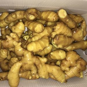 Cina Anqiu/Laiwu zenzero fresco 200g Jordan - Product Image 2