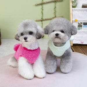 Vêtements d'hiver pour chiens et chats de petite et grande taille, <span class=keywords><strong>en</strong></span> polaire et <span class=keywords><strong>velours</strong></span>, motif visage d'ours, design décontracté, <span class=keywords><strong>pull</strong></span> <span class=keywords><strong>en</strong></span> <span class=keywords><strong>velours</strong></span> volant pour bouledogue français 25 - Product Image 2