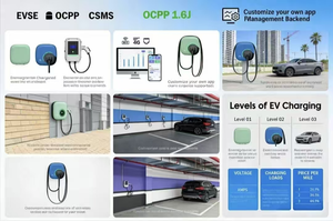 Alimentation sans interruption (ASI) à charge rapide dédiée de 30 kW pour véhicules de voirie – Alimentation de secours stable pour les dépôts municipaux - Product Image 4