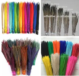 Plumas de faisán de 50-55cm, plumas de faisán naturales teñidas, para decoración de Carnaval