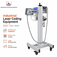 Marcador Láser de CO2 de Alta Precisión IPS-LC30 F MG con Gran Campo de Marcado Opcional para Codificación de Empaques