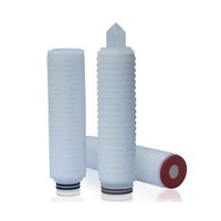 Cartouche filtrante plissée en polypropylène (PP) série IPP, filtration absolue de 0,45 micron, 10 pouces, 20 pouces, 30 pouces, pour la filtration de l'eau