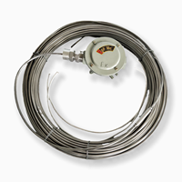 Cable Calefactor Aislado Mineral (MI) Antideflagrante con Cubierta de Acero Inoxidable SS304, Doble Núcleo, Resistente a Altas Temperaturas para Aplicaciones en Construcción