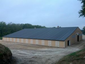 Usine chinoise Offre Spéciale, conception moderne, Structure en acier bon marché, hangar pour chevaux, <span class=keywords><strong>maison</strong></span> de ferme avec arène d'équitation, matériaux de construction - Product Image 2