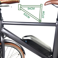 Meilleur 10ah 13ah 15ah 20ah 25ah 1000w 36v 48v 24v lithium hailong ebike pack pour vélo électrique ebike batterie
