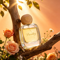 Flacon pulvérisateur de parfum en verre carré plat rechargeable de luxe élégant 30ml 50ml 100ml avec couvercle rond