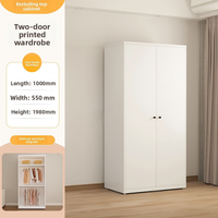 Armoire Pliante Moderne en Acier de Luxe Simple avec Design Écologique, 2 Étagères, Portable pour Rangement de Chambre d'Appartement