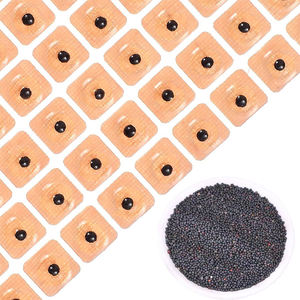 신상품 개인 라벨 침술 귀 씨앗 귀 스티커 귀 침술 패치 - Product Image 1