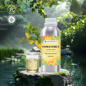 Organik Osmanthus mutlak uçucu yağ | Osmanthus parfüm çiçek yağı parfüm yapımı için-% 100% saf ve doğal | Toplu 1kg