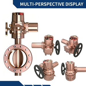 Motor de Inducción Tipo Ardilla de 2500 Nm, IP67, 4-20 mA, Compacto y de Construcción Ligera W - Product Image 2