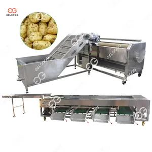 Discount Price Round Vegetable and Fruit Washing and Sorting Machine