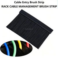 Panneau brosse de gestion des câbles personnalisé pour montage en rack, OEM ODM, pour garder le baie serveur propre, outils de nettoyage