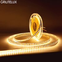 Bande LED en cuivre double rangée haute luminosité 220V avec télécommande SMD2835 240 LED IP67 Ra80 Dimmable 3000K 4000K 6000K pour aménagement paysager