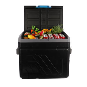 Usine OEM 12v 220V AC DC batterie fonctionnement électrique affichage numérique à zone unique 60L réfrigérateur congélateur de voiture - Product Image 6