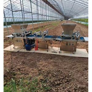 Máquina Automática para <span class=keywords><strong>Sembrar</strong></span> Semillas <span class=keywords><strong>en</strong></span> Bandejas de Plántulas, Sembradora de Tomates y Pimientos - Product Image 2