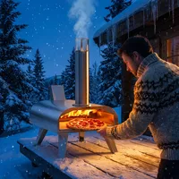 Fours à pizza portables de haute qualité, mini, à granulés de bois, en acier inoxydable, pour l'extérieur