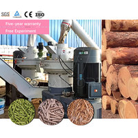 Ligne de production de granulés de biomasse WINWORK, machine de fabrication de granulés à partir de coques de palmiste, copeaux de bois et sciure de bois, fournisseur d'usine
