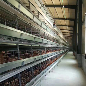 Système de cages à poules pondeuses entièrement automatique de type H, best-seller, adapté aux fermes avicoles commerciales - Product Image 4