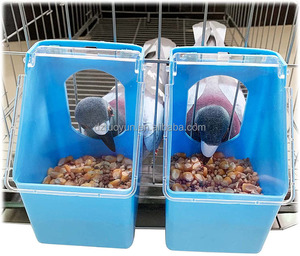 Comedero para Pájaros TUOYUN a Precio Económico, Comedero de Plástico para Canarios, Comedero de Plataforma para Aves - Product Image 5