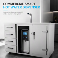 Distributeur d'eau chaude sous comptoir professionnel pour usage en magasin, avec robinet et chauffe-eau de 5000W, garantie 1 an