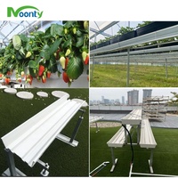 Système de contrôle climatique intelligent multi-voûtes pour serres agricoles destinées à la culture commerciale de fraises