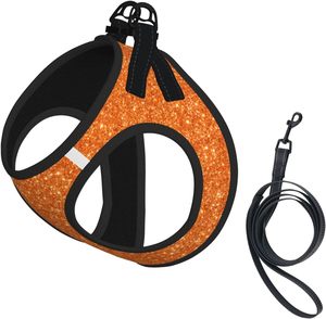 Juego de arnés y correa para perro con estampado de purpurina naranja, sin tirones, reflectante, ajustable, para cachorros, chaleco para mascotas, arneses para pequeños - Product Image 1