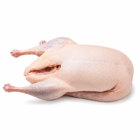 할랄 냉동 손질된 통오리 대량 도매 발 없음 내장물 없음 2.0-2.5kg 수출용 진공 포장 가금류 공급업체