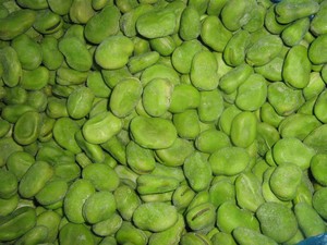 Habas Verdes Congeladas 100% Naturales, Certificadas Halal, Peladas, Frescas, de 5-8 cm, LC Green Foods - Product Image 5