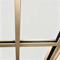 Fenêtre fixe GAAS, nouveau style, design en aluminium, grandes fenêtres, double vitrage à faible émissivité et à l'argon