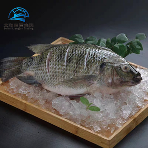 Bán buôn của chất lượng cao và giá cả phải chăng cá rô phi bởi Trung Quốc nhà sản xuất tươi đông lạnh toàn bộ cá rô phi - Product Image 5