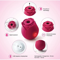 Jouet sexuel rose rechargeable par USB pour femmes, lavable, étanche, avec 10 vitesses, jouets sexuels rose à succion