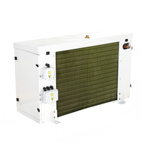 Radiateur de condensation à ailettes en cuivre, ventilateur axial simple, armoire horizontale peinte en blanc pour chambre froide de petite taille