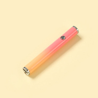 Pemantik Elektronik USB Pengisian Daya Gradien Multi Warna Penjualan Pabrik