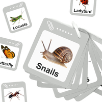 Caja de Observación de Madera COMMIKI, Kit de Exploración de Insectos para Exteriores, Juguete