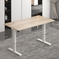 DNZ-17 escritorios de oficina meubles de bureau table d'ordinateur tables élévatrices shanding bureau s'asseoir debout bureau hauteur réglable bureau