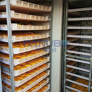 New Type Wild Chrysanthemum Dryer Wild Chrysanthemum Drying Machine Chrysanthemum Dehydrator Equipment - Product Image 3