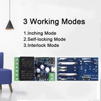 BSSY)EWeLink Interrupteur intelligent WIFI 12V 24V 48V, module récepteur relais 2 canaux, télécommande 2.4GHz, compatible avec Alexa, pour porte de garage