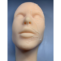 Tête de mannequin d'entraînement aux injections faciales en silicone KyrenMed, entièrement en silicone souple avec des os et des localisations des vaisseaux sanguins sur la moitié du visage