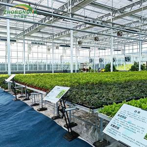 Kit de Estufa Grande de PE com Dupla Camada, Totalmente Automatizada, para Cultivo Tropical em Clima Quente, Estufa Arqueada de Aço Galvanizado - Product Image 2