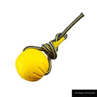 Balle à mâcher flottante en caoutchouc souple et élastique pour chien, résistante aux morsures, en PVC, pour l'entraînement et le jeu.