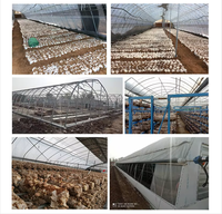Serres agricoles pour la culture des champignons, équipement d'agriculture intelligente, serre de culture de champignons