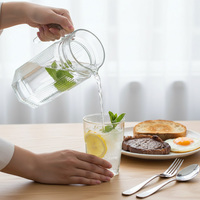 Bouilloire en verre marteau de 500 ml et 1 L pour eau froide, vente en gros